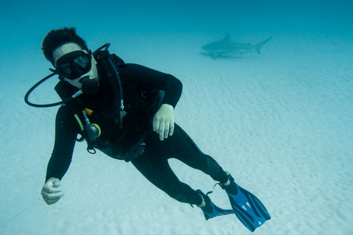Best Shark Diving South Africa (1)