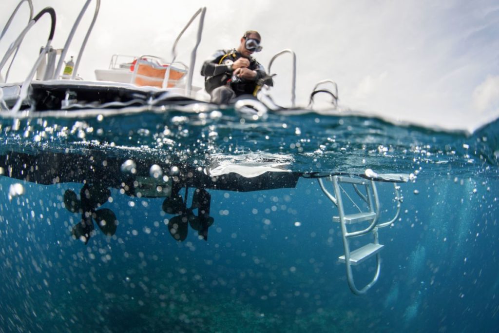 Using The Toynbee Maneuver To Equalize - Down To Scuba - Shark Diving ...